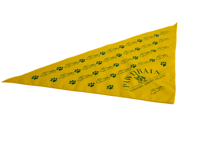 Pawdrain Bandana